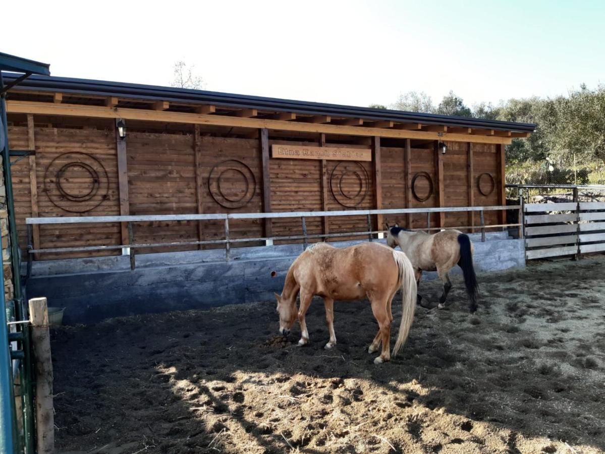 B&B Etna Ranch Piedimonte Etneo Ngoại thất bức ảnh