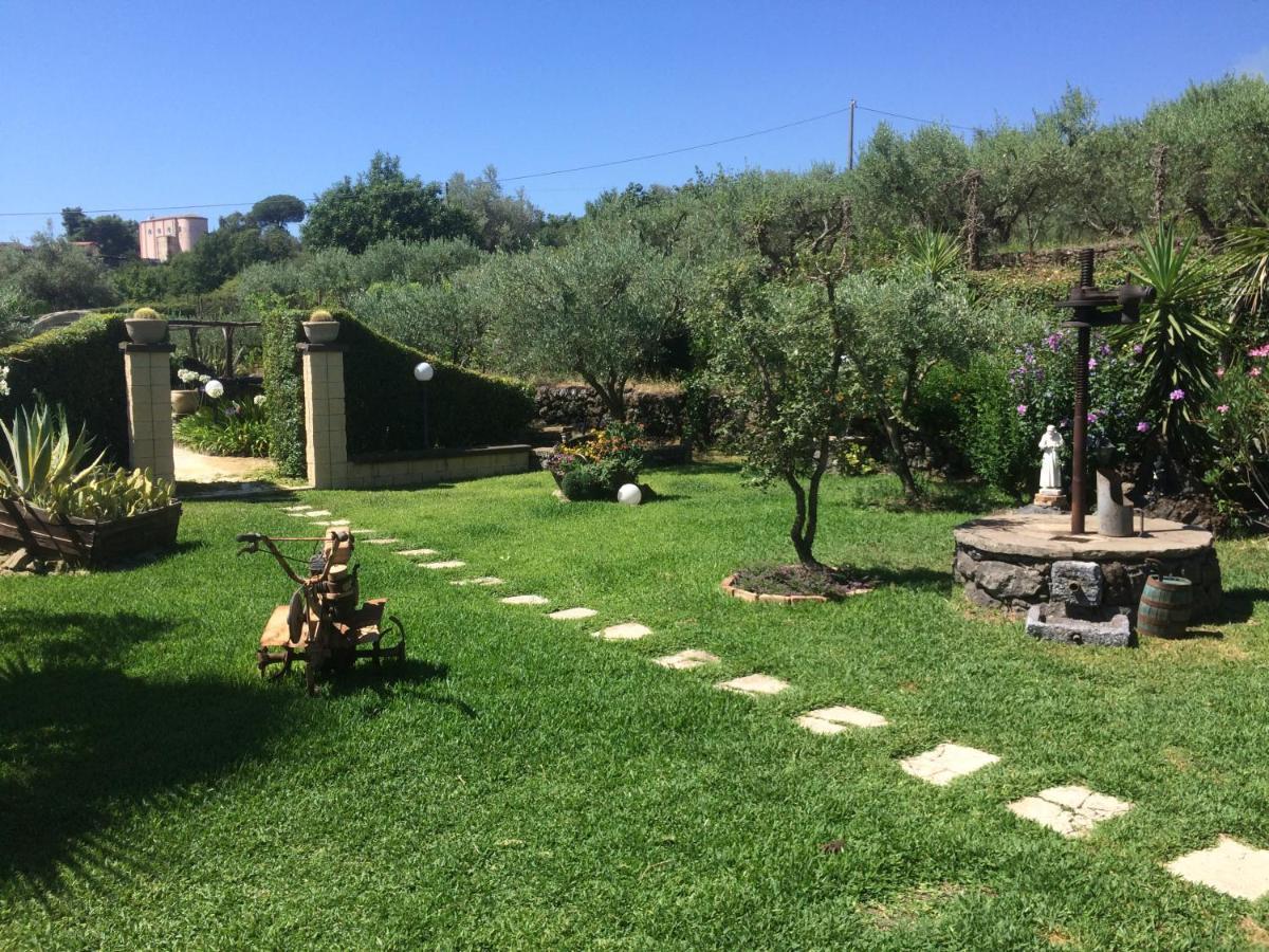 B&B Etna Ranch Piedimonte Etneo Ngoại thất bức ảnh