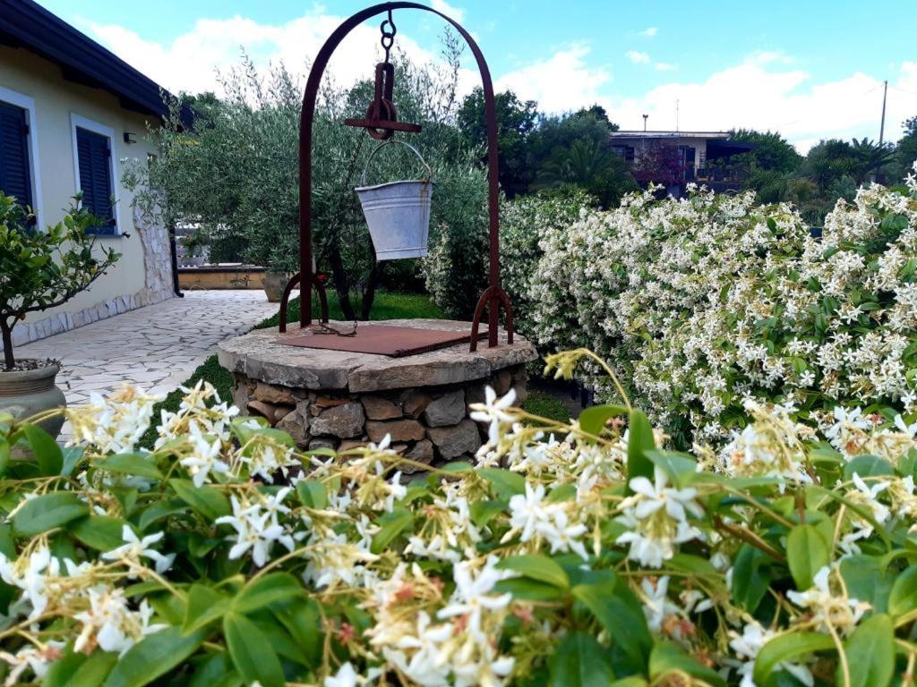 B&B Etna Ranch Piedimonte Etneo Ngoại thất bức ảnh