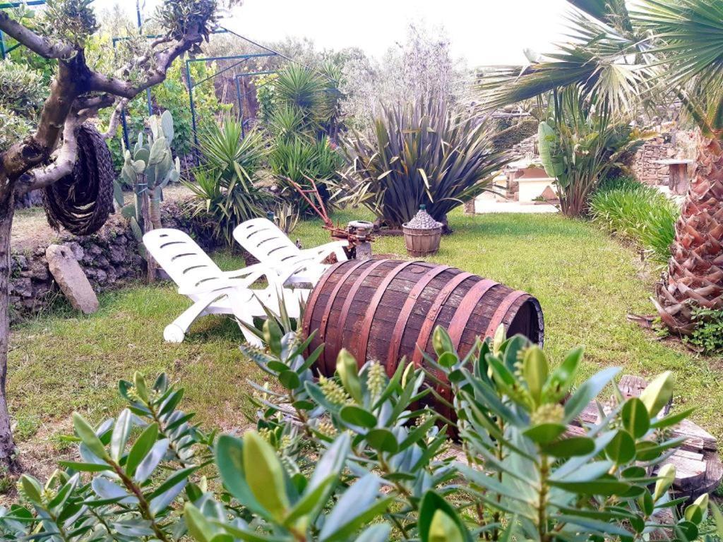 B&B Etna Ranch Piedimonte Etneo Ngoại thất bức ảnh