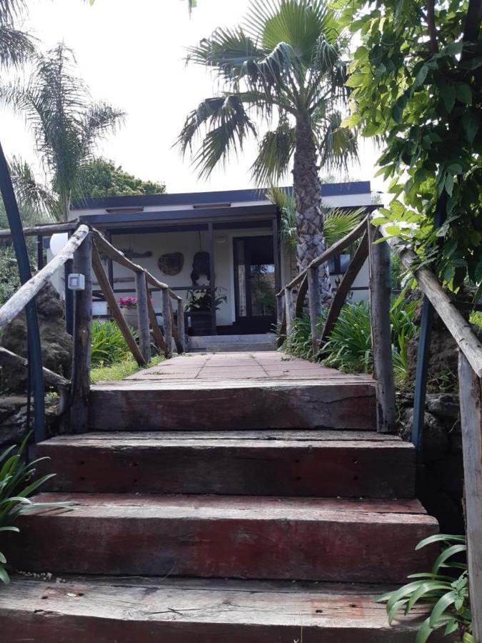 B&B Etna Ranch Piedimonte Etneo Ngoại thất bức ảnh