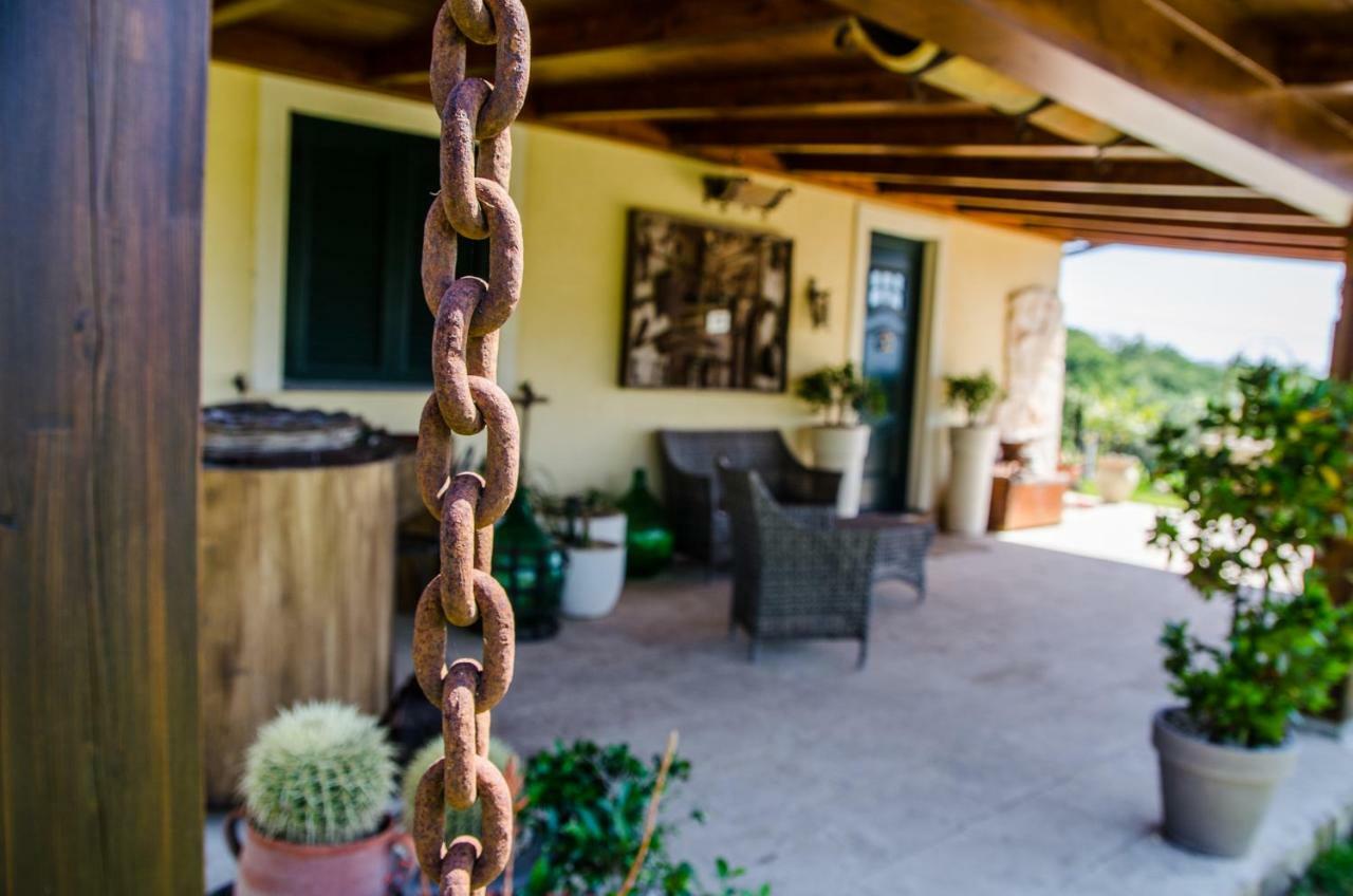 B&B Etna Ranch Piedimonte Etneo Ngoại thất bức ảnh