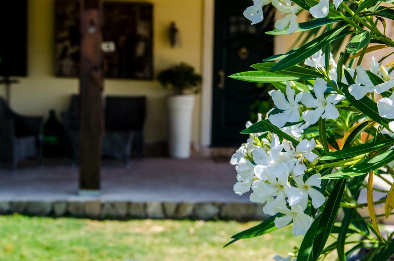 B&B Etna Ranch Piedimonte Etneo Ngoại thất bức ảnh